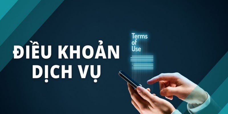 Quy định chung về điều khoản